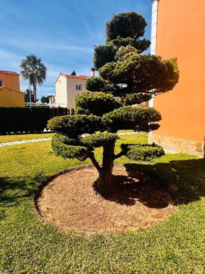 Oliva Nova Beach & Golf Resort Club Sevilla VI מראה חיצוני תמונה